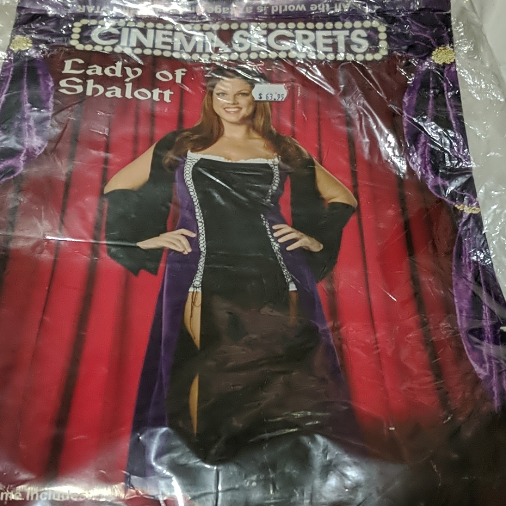 Lady of Shalott Cinema Secrets Costume